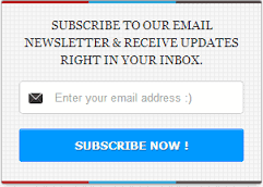 Newsletter for your WordPress blog