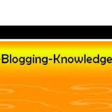 A professional blogger has blogging knowledge
