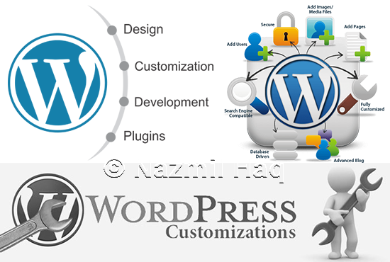 Use WordPress to make a Business Website