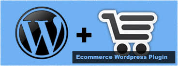 Use WordPress to make a Business Website