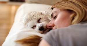 The Meaning of Pet Effect and its Mental Health Benefits